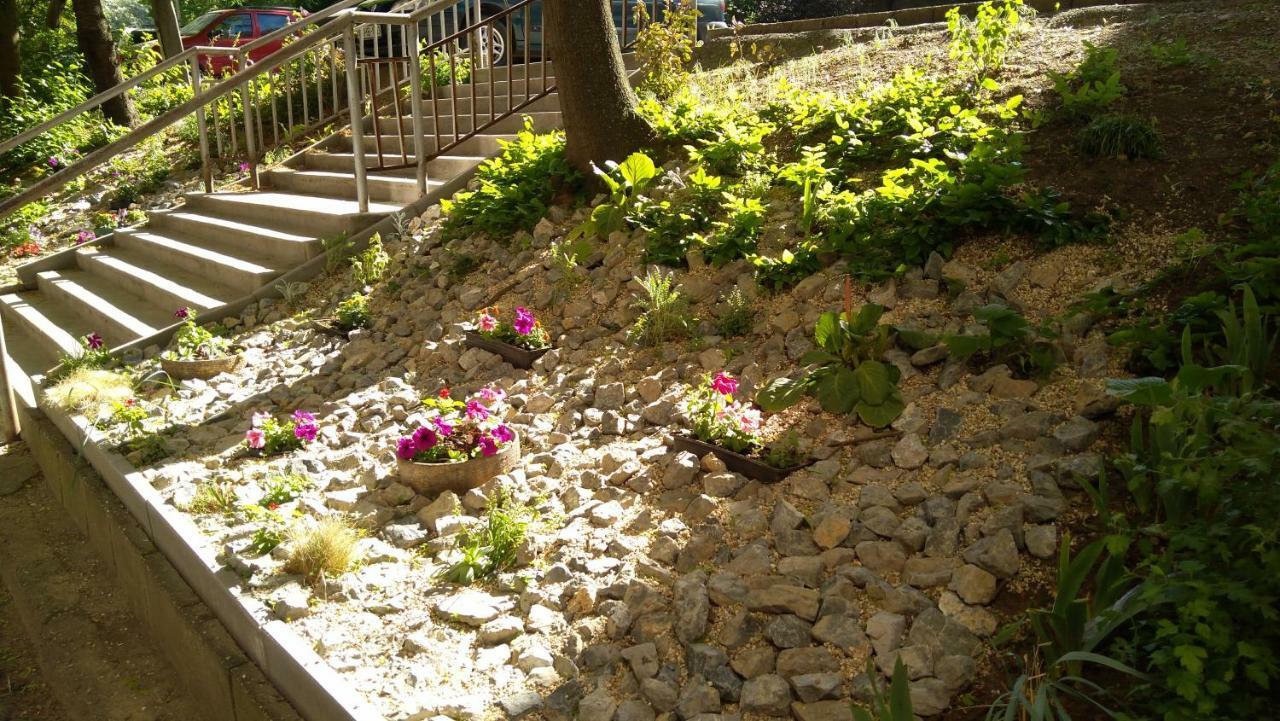 Gesztenyes Apartman 米什科尔茨 外观 照片
