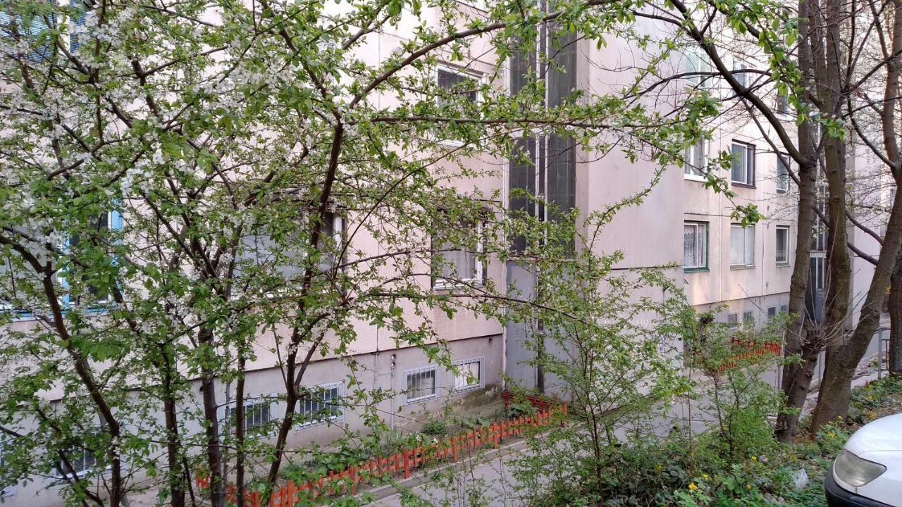 Gesztenyes Apartman 米什科尔茨 外观 照片